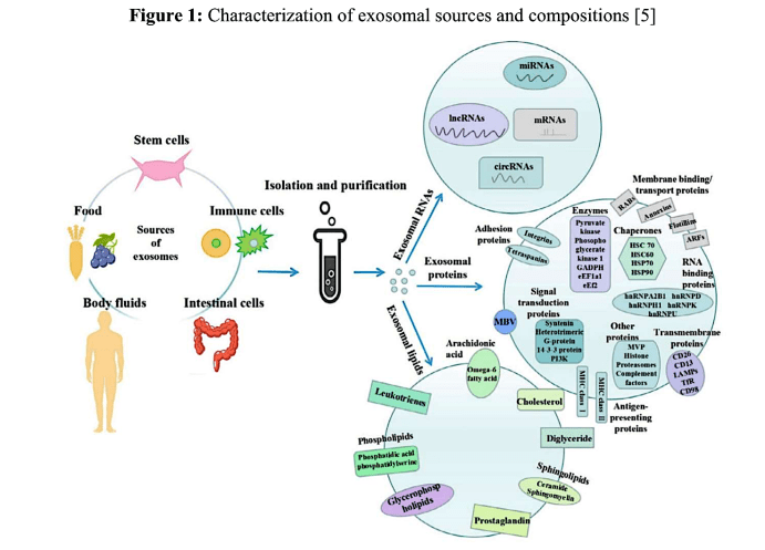 Sample dissertation,Panama College of cell science. Sample thesis, Panama College of Cell Science.Dissertation information, Panama College of Cell Science